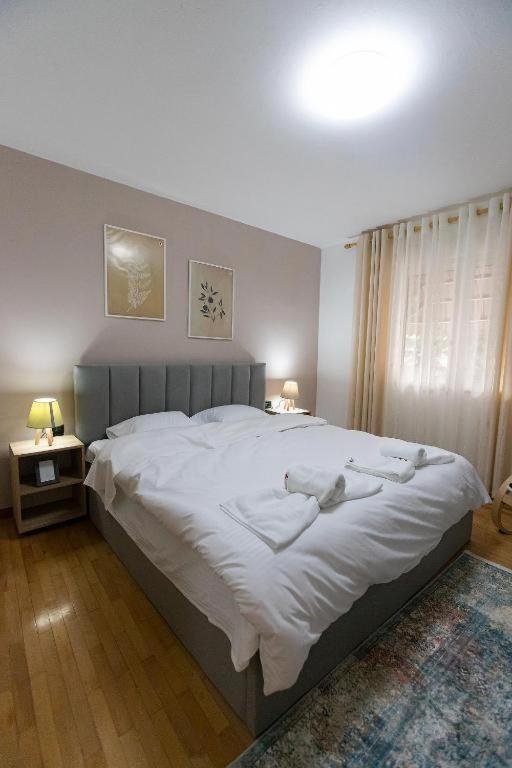 Light-2 Lovely Apartment In Tirana Exterior foto